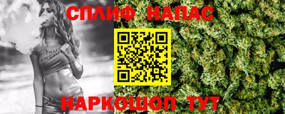 гашик Владимир