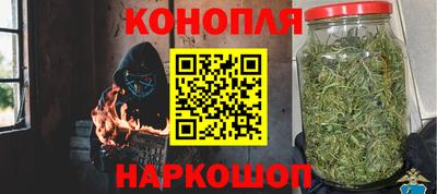 гашик Владимир