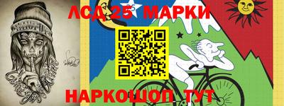 гашик Владимир