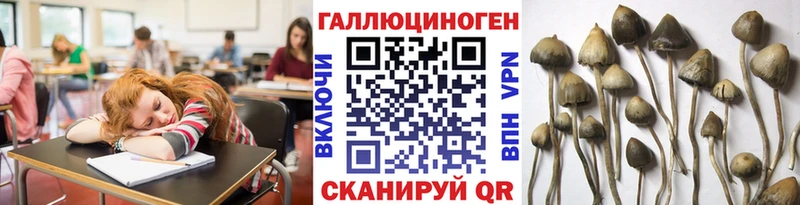 Псилоцибиновые грибы Cubensis  Белая Калитва 